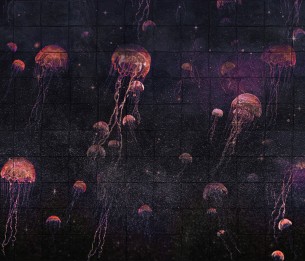 Фотообои Jelly LWI1051C