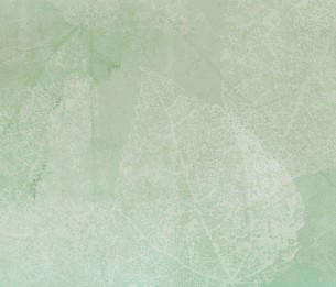 Фотообои Vein LWI1053D