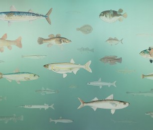 Фотообои Shoal LWI1056A