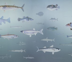 Фотообои Shoal LWI1056B