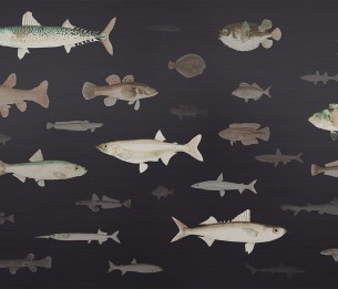 Фотообои Shoal LWI1056C