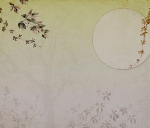 Фотообои Moon LWI1070A