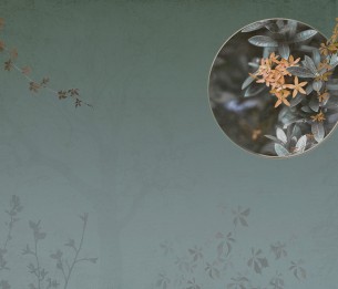 Фотообои Moon LWI1070B