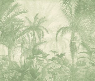 Valokuvatapetti Borneo V148-1