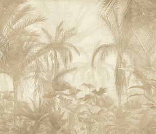 Valokuvatapetti Borneo V148-2