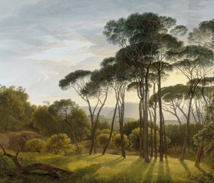 Valokuvatapetti Umbrella Trees V151-1