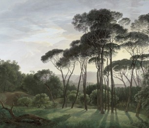Valokuvatapetti Umbrella Trees V151-2