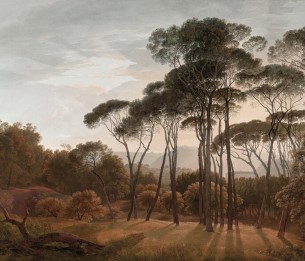 Valokuvatapetti Umbrella Trees V151-3