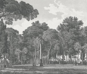 Valokuvatapetti Alameda V162-1