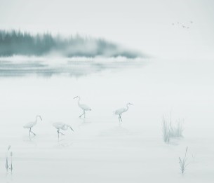 Valokuvatapetti Albufera V169-1