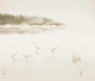 Valokuvatapetti Albufera V169-2
