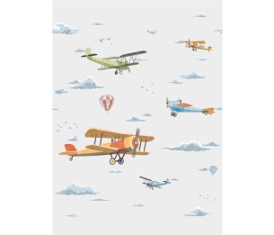 Фотообои Biplane V189-1