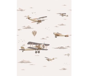 Фотообои Biplane V189-2