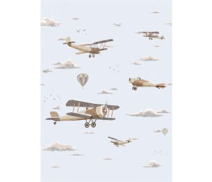 Фотообои Biplane V189-3