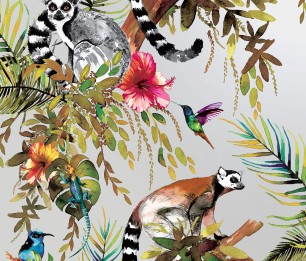 Wallpaper Lemur 12401