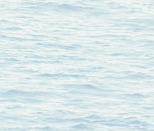 The Yacht Club YC61702