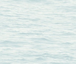 The Yacht Club YC61704