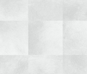 Hide&Seek 347-347485