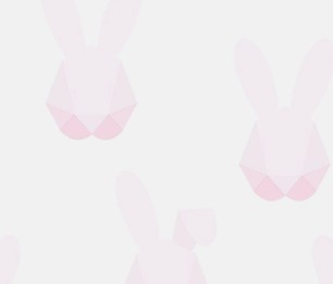 Hide&Seek 347-347490