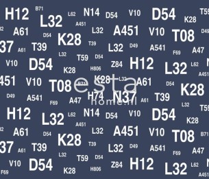 Fototapettit XL Regatta 156435