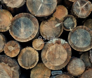 Mural XL Wood Logs 158206