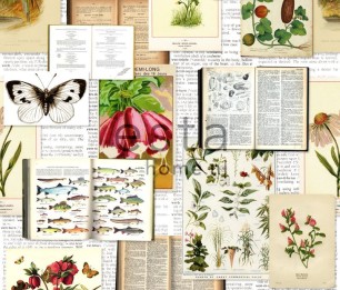 Mural XL Botanical 158508