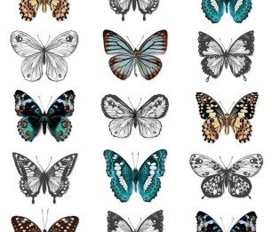Wallpaper XXL Butterflies 158507