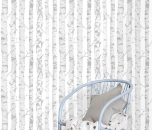 Little Bandits 145-138944