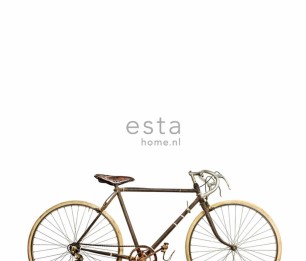 Фотообои XL Old Bicycle 158807