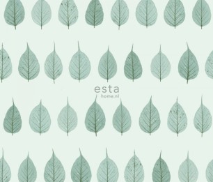 Greenhouse 143-128848