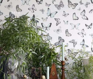 Greenhouse 143-138875