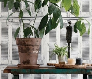 Greenhouse 143-138882