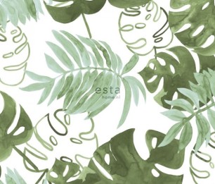 Greenhouse 143-138888