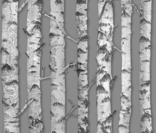 Greenhouse 143-138892