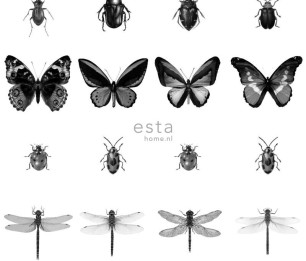 Wallpaper XXL Insects 158827