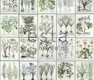 Wallpaper XXL Botanical Flowers and Plants Book 159229