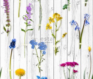 Wallpaper XXL Wild Flowers on Wood 158828