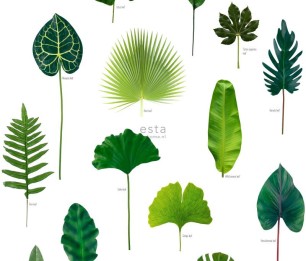 Mural XL Leaves 158831