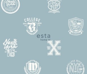 College 141-128803