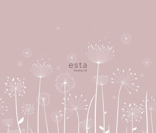 Fototapeet XL Dandelions 158905