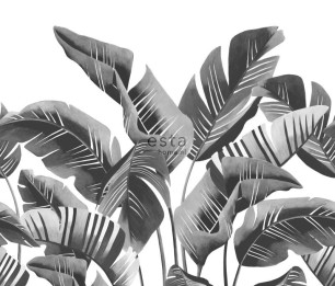 Fototapeet XL Large Banana leaves Grey 158907