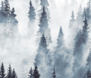 Fototapeet XL Foggy Forest 158909