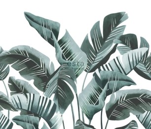 Fototapeet XL Large Banana leaves Teal 158898