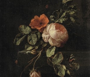 Fototapeet XL Still Life with Roses 158884
