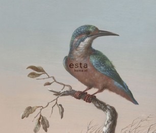 Fototapeet XL Kingfisher 158888