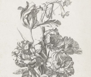 Fototapeet XL Bouquet Engraving 158887