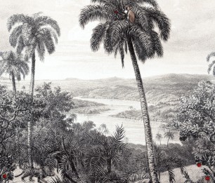 Digital panel Zanzibar Leopard 290324