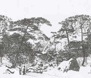 Digital wallpaper Ginkesai Pirate SAUD-211317