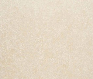 Obsessive B 72350165