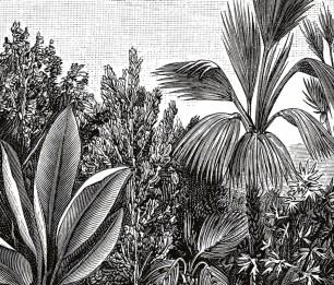 Wall panel Escape 102059018